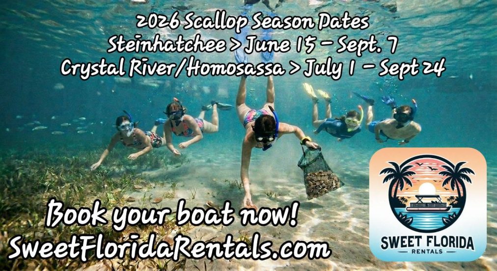 Scallo[p Season Ad Photo